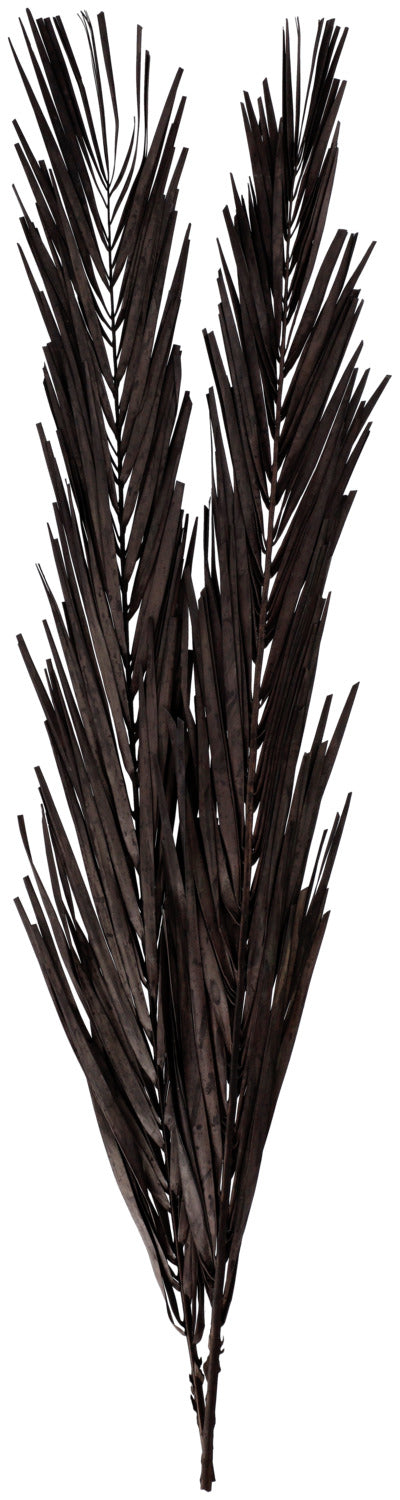 Trockenblumenzweig Abbie; 97 cm (D); czarny