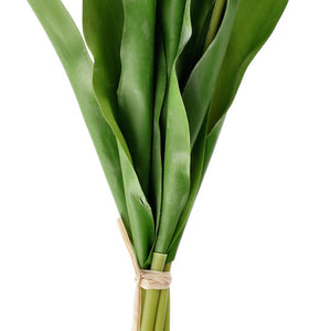 Tulpenbund Talea; 48 cm (D); biały