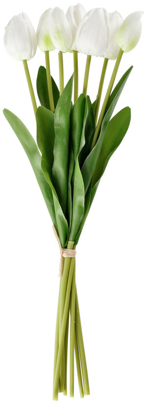 Tulpenbund Talea; 48 cm (D); biały