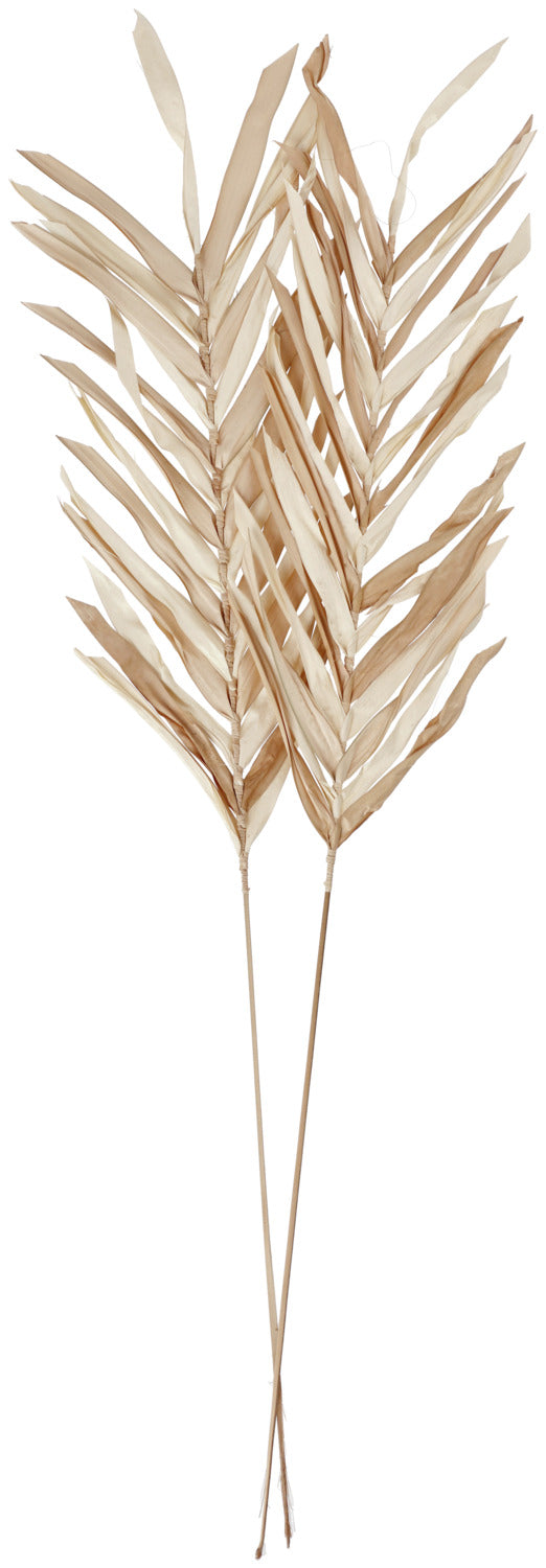 Trockenblumenzweig Aarin; 100 cm (D); naturalny