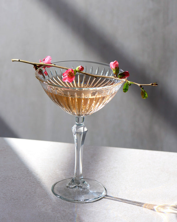  11.7x16 cm (ØxW); transparentny; 4 sztuka / opakowanie