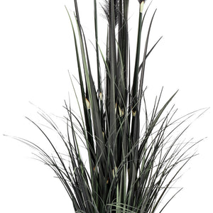 Grasbusch Sanjah; 85 cm (W); czarny