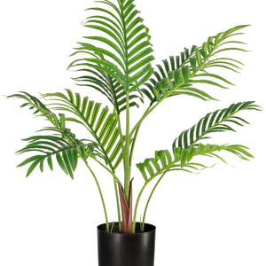 palma Kazuko; 81 cm (W); zielony/czarny