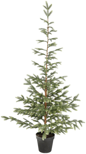 Tannenbaum Altin; 65x180 cm (ØxW); zielony/czarny