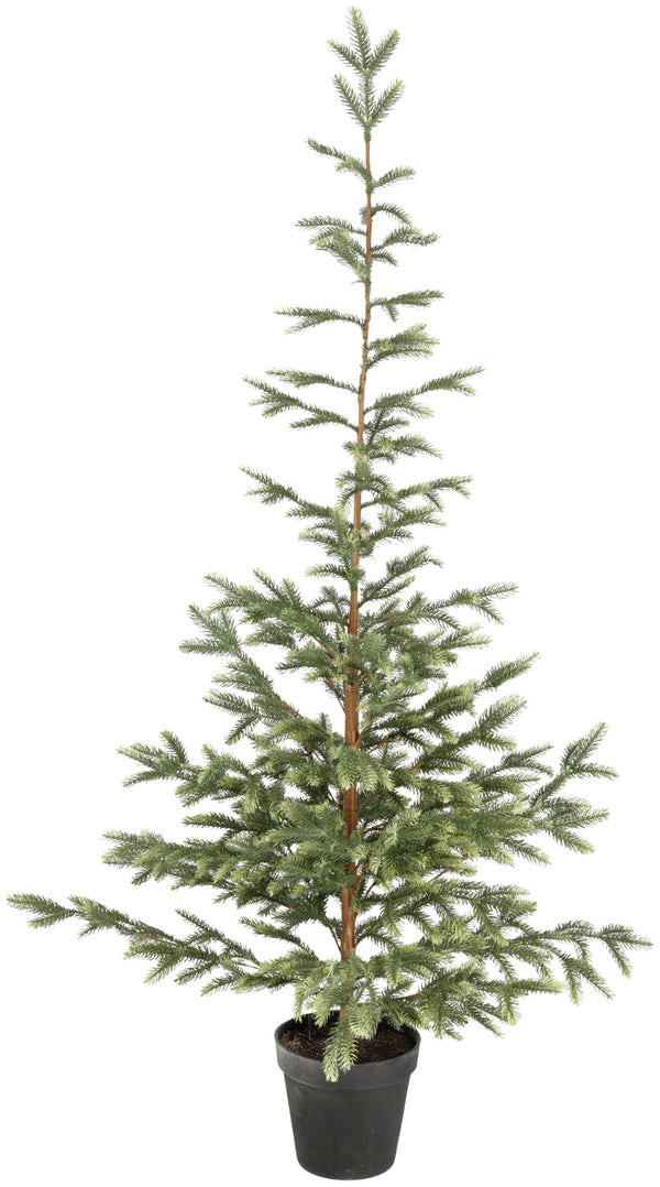 Tannenbaum Altin; 65x180 cm (ØxW); zielony/czarny