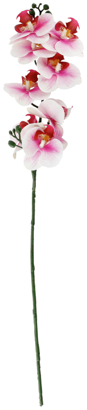 gałąź orchidei Maarja; 61 cm (D); biały/różowy/zielony