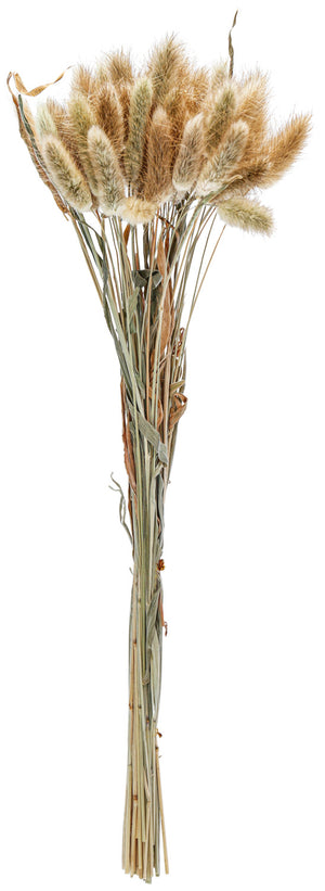 wiązka suszonych kwiatów Ajda; 40 cm (D); naturalny