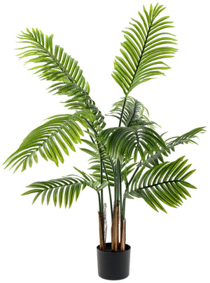 palma Areca Midori; 120 cm (W); zielony/czarny