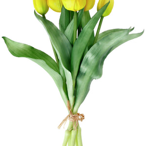 Tulpenbund Tialda; 28 cm (D); żółty