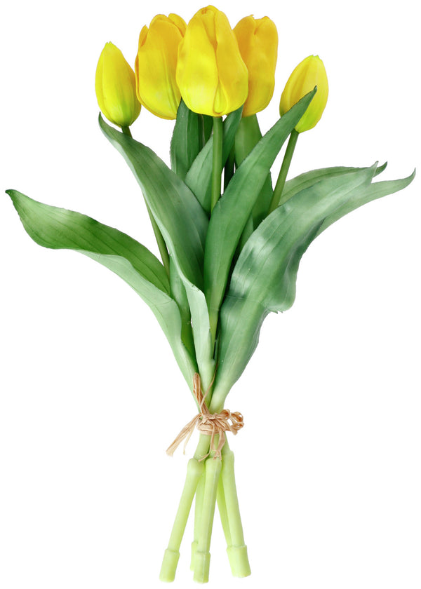 Tulpenbund Tialda; 28 cm (D); żółty