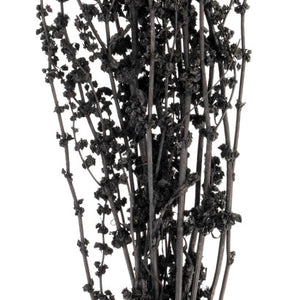 Trockenblumenbundle Anando; 60 cm (D); czarny