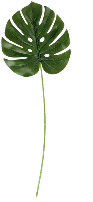 liść monstery Maaika; 74 cm (D); zielony