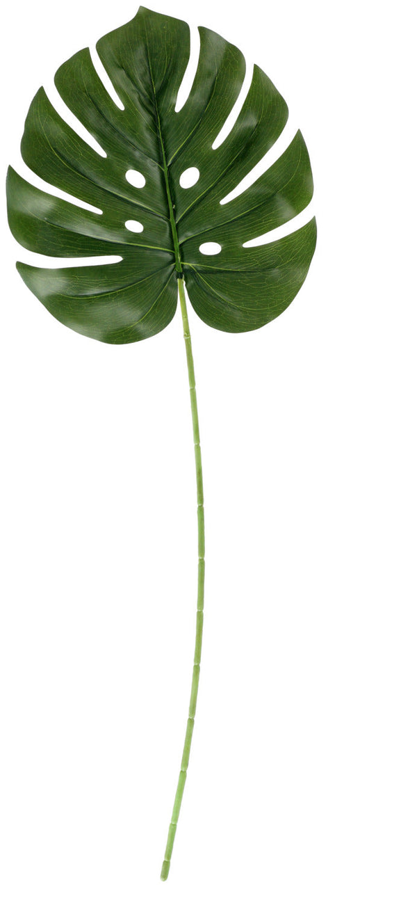 liść monstery Maaika; 74 cm (D); zielony